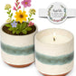 Hyggelight Growing Candle: Soy Wax, Plantable Pot, 8.5oz